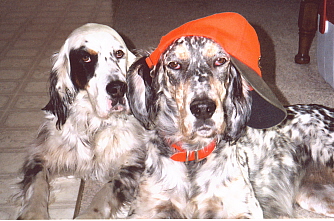 Name:  Lil Belle and Cass with the hat 11-1-06.jpg
Views: 155
Size:  74.8 KB