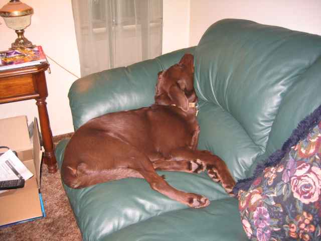 Name:  more space sasha.jpg
Views: 1203
Size:  31.3 KB