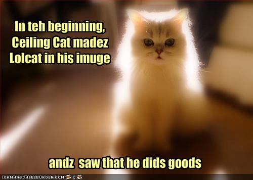 Name:  funny-pictures-the-creation-story-of-lolcats.jpg
Views: 8086
Size:  23.7 KB