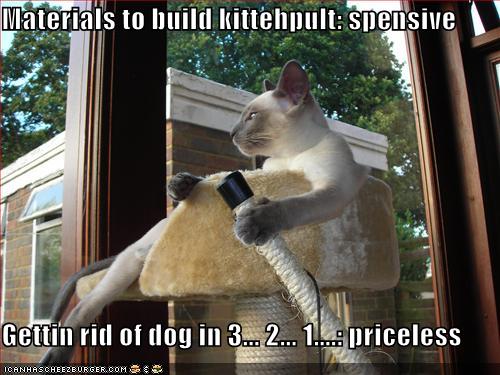 Name:  funny-pictures-cat-gets-rid-of-dog-with-catapult.jpg
Views: 8459
Size:  43.4 KB