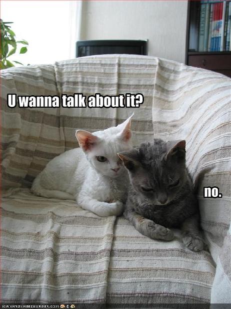 Name:  funny-pictures-angry-cat-does-not-want-to-talk-about-it.jpg
Views: 11655
Size:  52.0 KB
