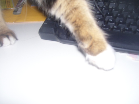 Name:  100_4267.jpg
Views: 383
Size:  41.8 KB