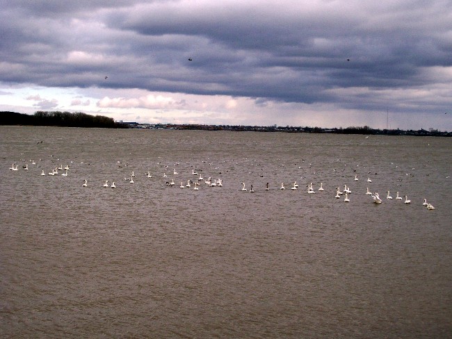 Name:  101_3243.JPG
Views: 203
Size:  100.8 KB