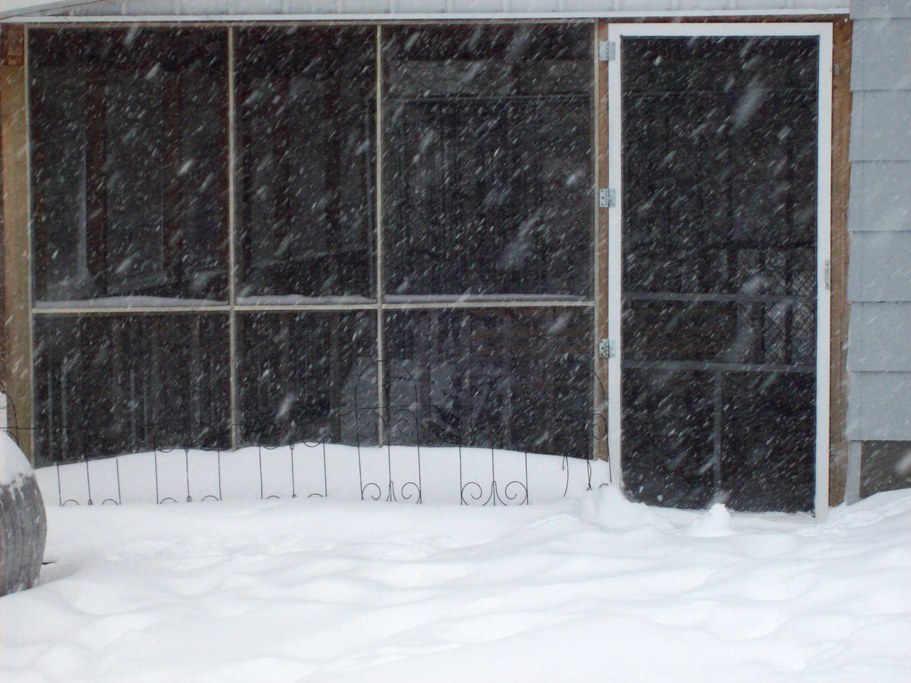 Name:  Snowy day 12-11-10 B.JPG
Views: 218
Size:  140.7 KB