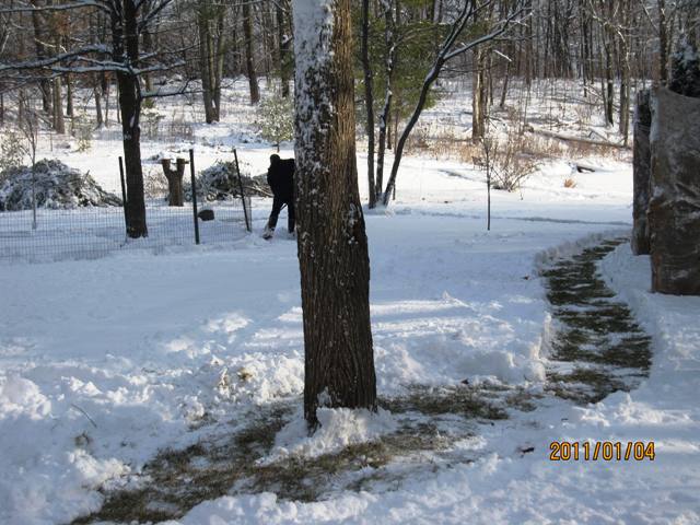 Name:  paths g clearing r.jpg
Views: 594
Size:  72.9 KB
