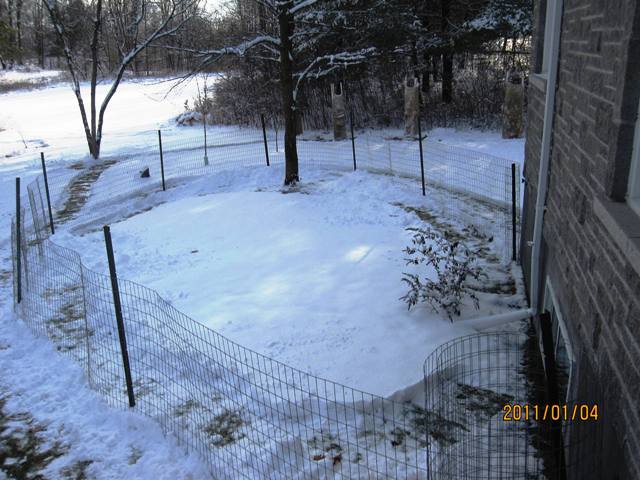 Name:  paths from deck.jpg
Views: 601
Size:  68.4 KB