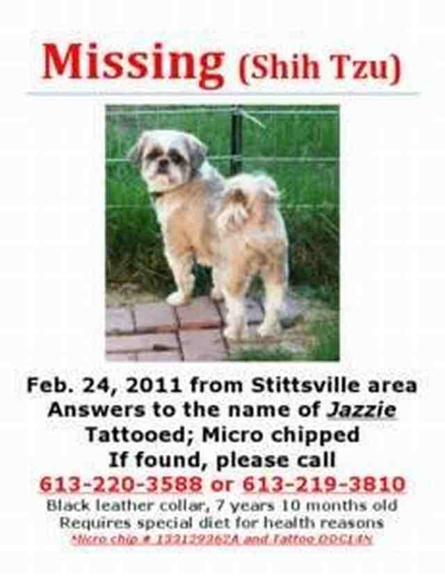 Name:  Missing Jazzie[1].jpg
Views: 297
Size:  27.0 KB