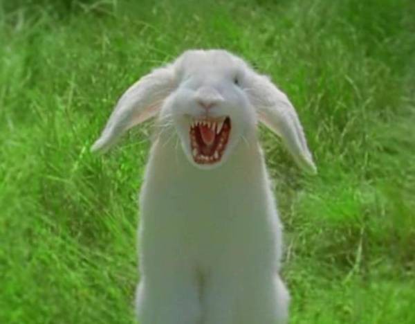 Name:  evil-bunny.jpg
Views: 538
Size:  36.1 KB