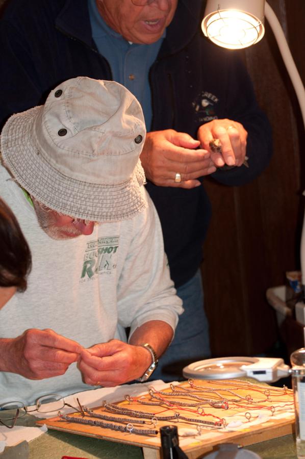 Name:  Banding a purple finch 5-24-11.jpg
Views: 1421
Size:  73.5 KB