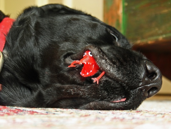 Name:  !cid_913C138811424272ADEF17C15E4683A4@localhost.jpg
Views: 686
Size:  83.7 KB