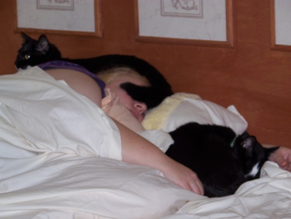 Name:  Buddy and Palomine and ME sleeping.jpg
Views: 257
Size:  50.6 KB