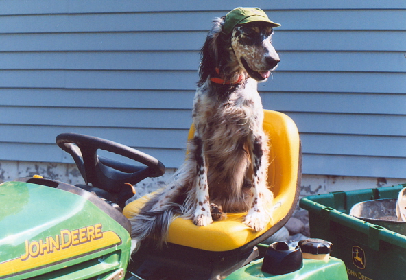 Name:  Cass practicing for a John Deere ad 8-30-08.jpg
Views: 254
Size:  170.0 KB