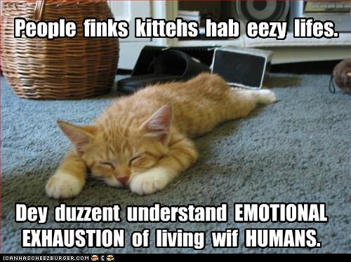 Name:  funny-pictures-people-finks-kittehs-hab-eezy-lifes.jpg
Views: 760
Size:  62.8 KB