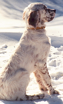 Name:  Evan sitting in the snow 2-13-99.jpg
Views: 1096
Size:  66.9 KB