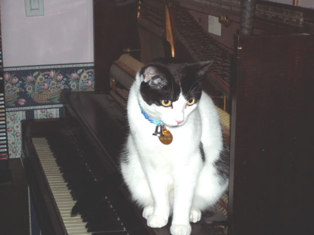 Name:  OS HELPING HUBS TO TURN PIANO.jpg
Views: 928
Size:  47.2 KB