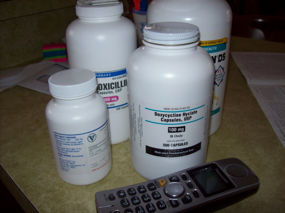 Name:  Lepto - Anaplasma meds 1-17-09.jpg
Views: 261
Size:  172.0 KB