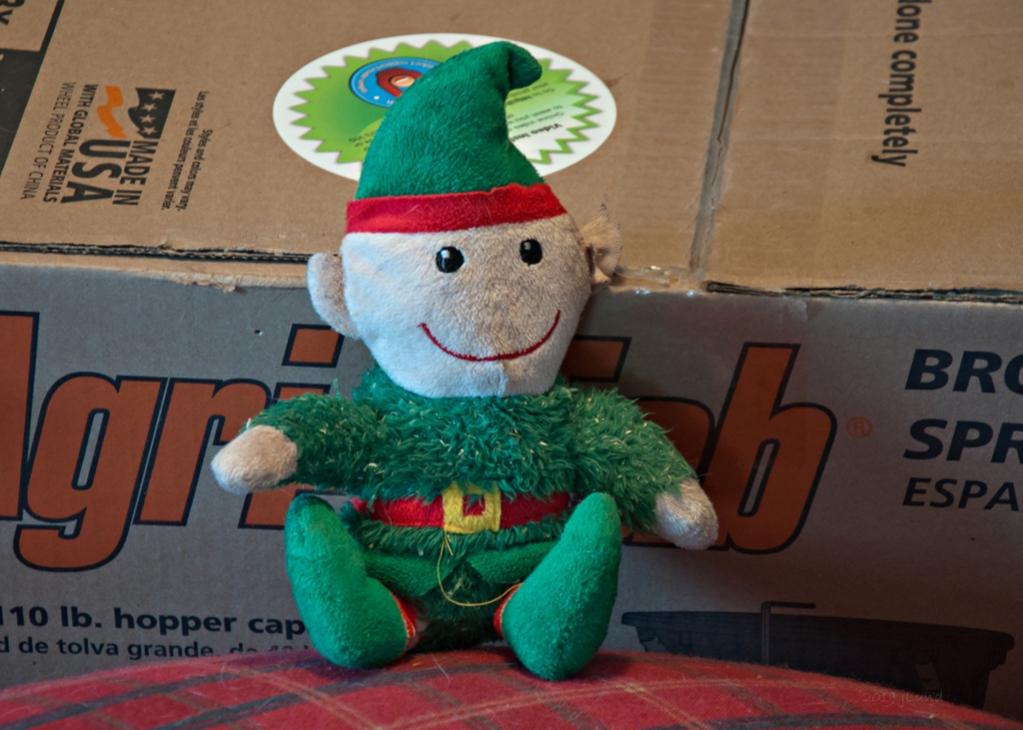 Name:  Lilis buddy, Alf the Elf 1-22-19.jpg
Views: 2433
Size:  87.1 KB