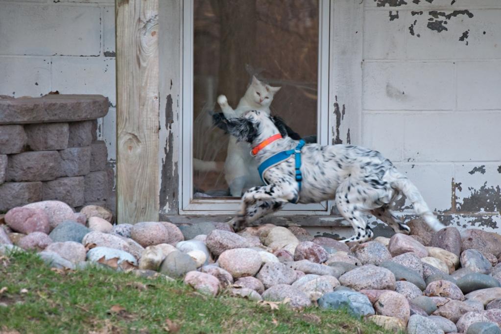 Name:  JD and Lili at the window 4-21-19 C.jpg
Views: 2297
Size:  98.0 KB
