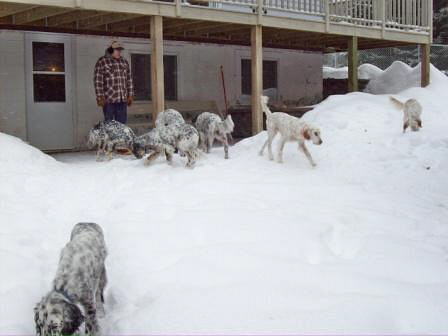 Name:  The ice hunt in the basement yard 1-4-09.jpg
Views: 155
Size:  52.4 KB