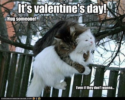 Name:  funny-pictures-its-valentines-day.jpg
Views: 759
Size:  71.9 KB