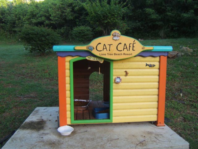 Name:  CatCafe1_med.jpg
Views: 194
Size:  64.4 KB