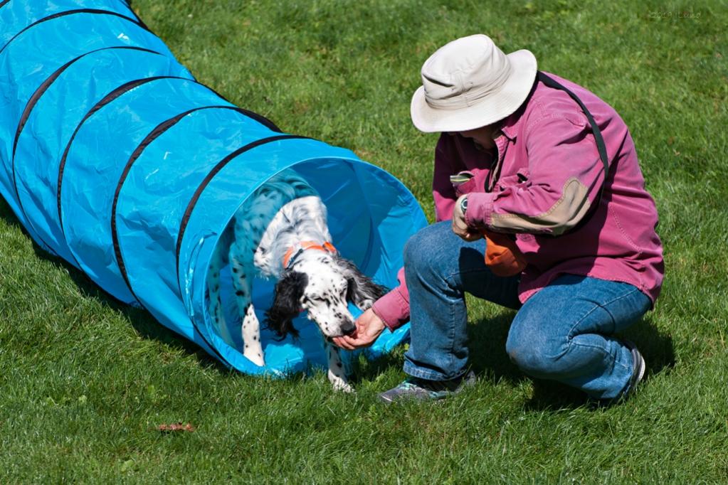 Name:  Coaxing Lili through the tunnel 8-21-19.jpg
Views: 1070
Size:  141.8 KB