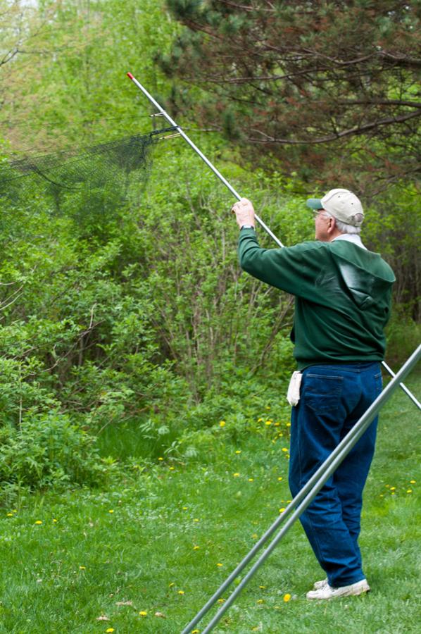 Name:  Taking down the nets 5-24-11.jpg
Views: 665
Size:  123.9 KB