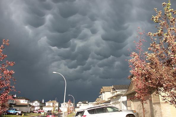 Name:  mammatus.jpg
Views: 255
Size:  66.3 KB