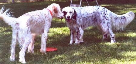 Name:  Ember and Lil Belle share a joke 8-30-07.jpg
Views: 104
Size:  25.6 KB