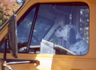 Name:  Lil Belle at the wheel of Buddy's Canine Transport Unit (CTU) 10-1-06.jpg
Views: 108
Size:  71.4 KB