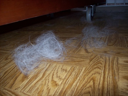 Name:  Hair balls 7-12-09 A.JPG
Views: 280
Size:  61.3 KB