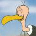 Birdbrain's Avatar