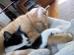 max&mylo's Avatar