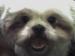 stormy_daze's Avatar