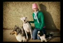 Pets.ca Tribute video by klmccallum