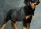 Maxy