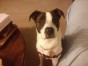 Samantha