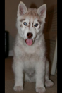 Axel