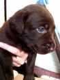 unnamed so far .. leaning toward Sierra
