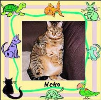 Neko