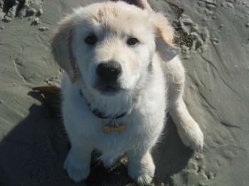 Hudson