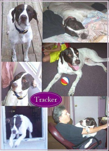 Tracker