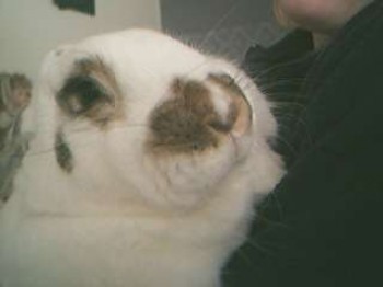 Buster