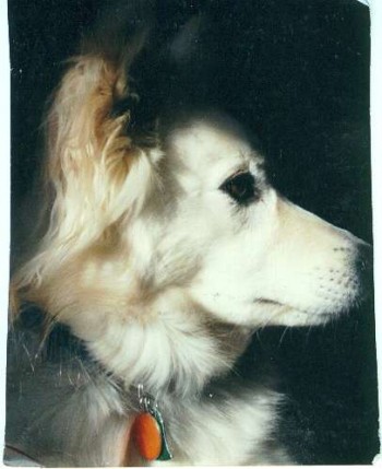 Annie
