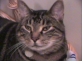 Oscar