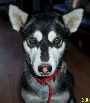 Zoe