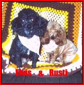 Rusti