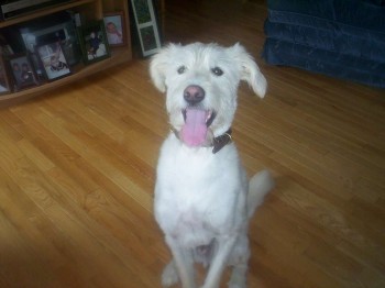 Hudson