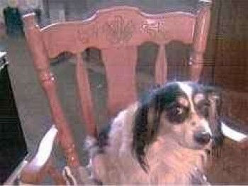 buster
