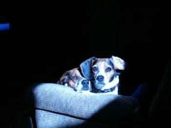 Buddy & Shawna